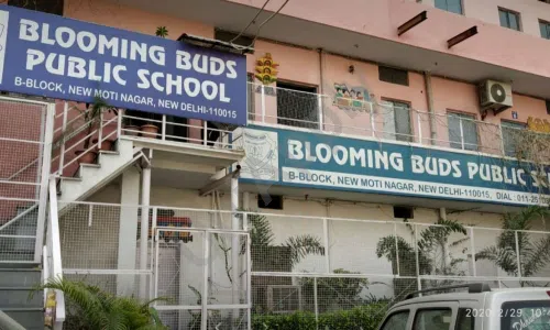 Blooming Buds Public School, Phase 1, Moti Nagar, Delhi School Building