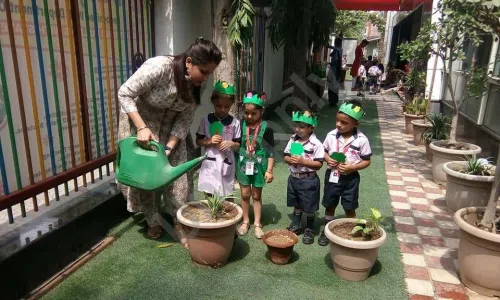 Daisy Dales International School, Vikaspuri, Delhi Gardening