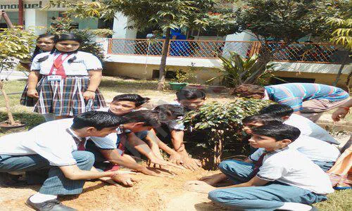 Emmanuel Mission School, Nihal Vihar, Nangloi, Delhi Gardening