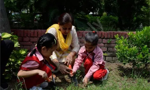 Happy Model School, Janakpuri, Delhi Gardening