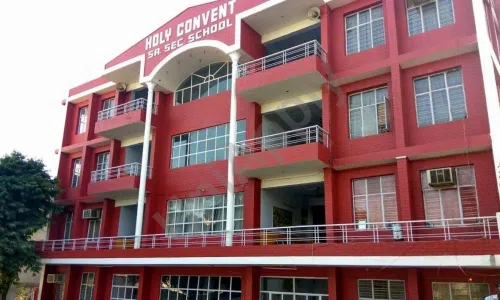 Holy Convent Senior Secondary School, Vikas Nagar, Hastsal, Delhi School Building 1