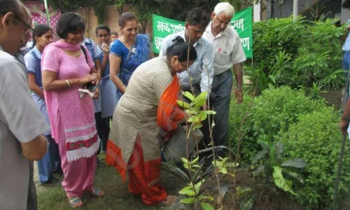 M.H.D.C Saraswati Bal Mandir Secondary School, Janakpuri, Delhi Gardening