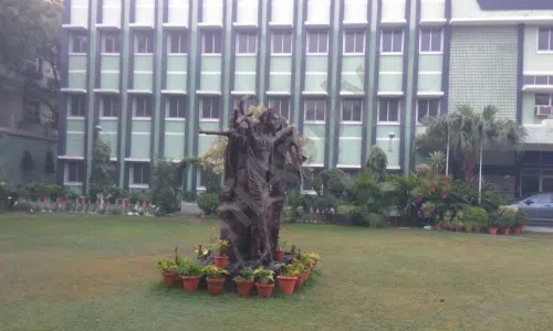 N.C. Jindal Public School, Punjabi Bagh, Delhi School Building 1