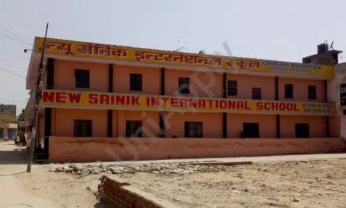 New Sainik International School, Vikas Nagar, Hastsal, Delhi School Building 1