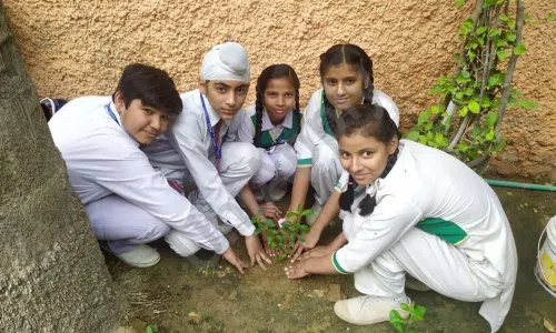 R.P. Memorial Senior Secondary Public School, Mohan Garden, Uttam Nagar, Delhi Gardening