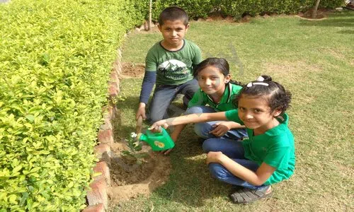 R.P. World School, Mohan Garden, Uttam Nagar, Delhi Gardening