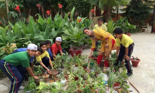 Sant Nirankari Public School, Tilak Nagar, Delhi Gardening