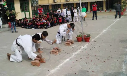 Sant Nirankari Public School, Tilak Nagar, Delhi Karate