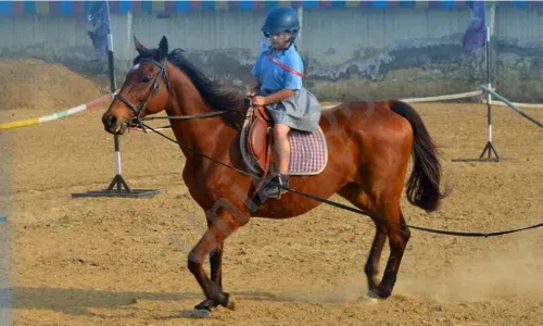 Shri Ram Global School, Tikri Kalan, Delhi Horse Riding
