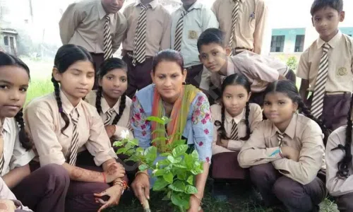 U.S.M. Public Secondary School, Veena Enclave, Nangloi, Delhi Gardening