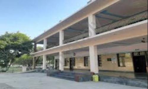 Navodya Vidya Niketan Senior Secondary School, Nit, Faridabad