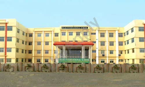 Delhi Scholars International School, Sector 88, Greater Faridabad, Faridabad School Building