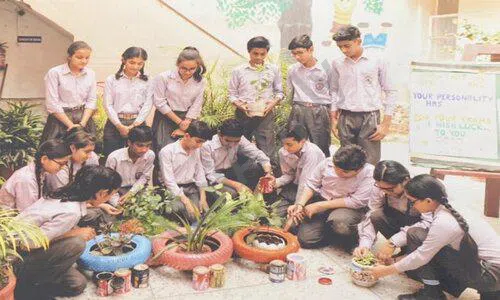 K.L. Mehta Dayanand Public Senior Secondary School, Nit, Faridabad Gardening