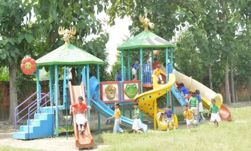 Greenfields Public School, Sunper, Ballabgarh, Faridabad Playground