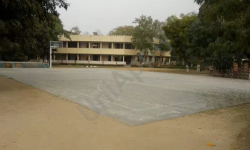Homerton Grammar School, Sector 21A, Faridabad Playground
