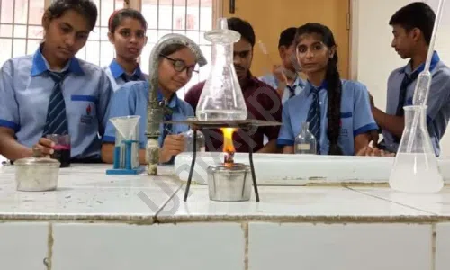Lingaya's Public School, Kanwara, Faridabad Science Lab 1
