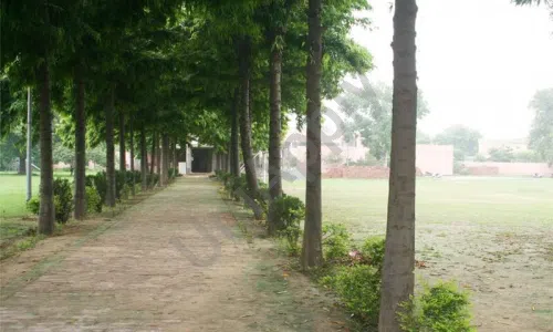 Mahadev Desai Public School, Sector 16A, Faridabad School Infrastructure