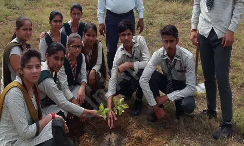 Nalanda Bal Senior Secondary School, Dayalpur, Ballabgarh, Faridabad Gardening 1