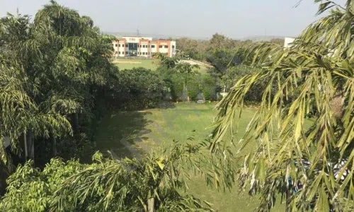Pinewood International Boarding School, Faridabad Gardening