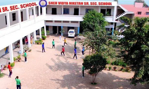 Sneh Vidya Niketan Senior Secondary School, Sector 48, Faridabad Playground