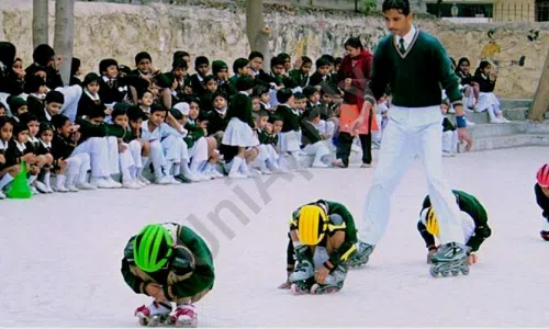 Saffron Public School, Sector 37, Faridabad Skating
