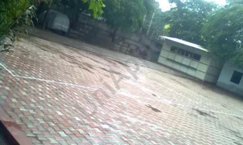 Tagore Academy Public School, Sector 3, Ballabgarh, Faridabad Playground