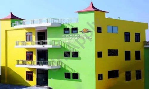 Vidyasagar International School, Sector 2, Ballabgarh, Faridabad School Building