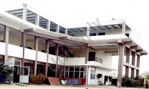 Vishwatma Senior Secondary School, Dabua Colony, Faridabad School Building