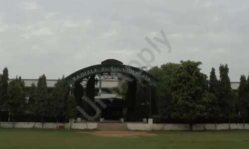 Rajmala Senior Secondary School, Harinagar, Farrukh Nagar, Gurugram School Building