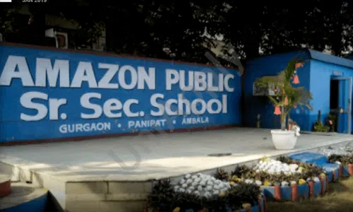 Amazon Public School, Sector 56, Gurugram Playground