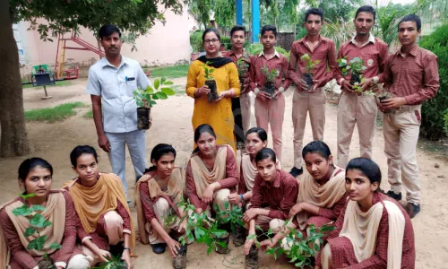 DPS Senior Secondary School, Sidhrawali, Pataudi, Gurugram Gardening 1