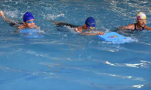 Shalom Presidency School, Sushant Lok Phase 2, Gurugram Swimming Pool