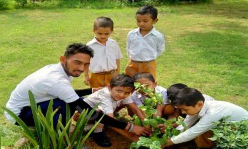Maharishi Vidya Mandir, Gurugram Gardening