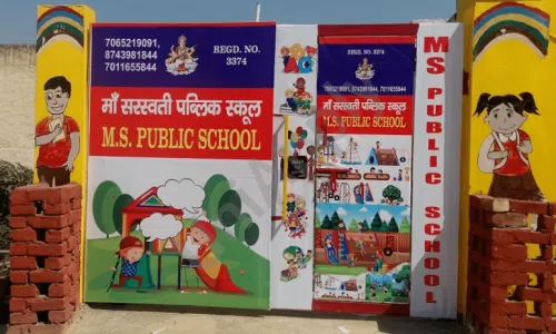 M S Public School, Shyam Kunj, Gurugram School Infrastructure