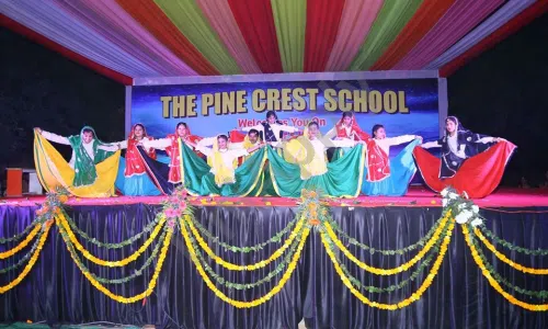 The Pine Crest School, Sector 26 A, Gurugram School Event 1