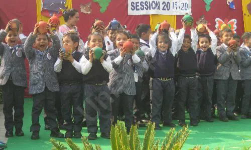 St. Paul's Play School, Bahadurgarh School Event 5