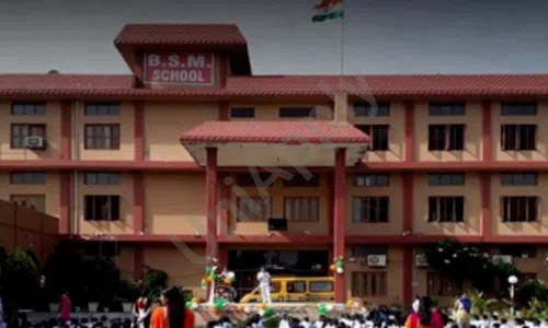 BSM Senior Secondary School, Sainik Nagar, Bahadurgarh School Building 1