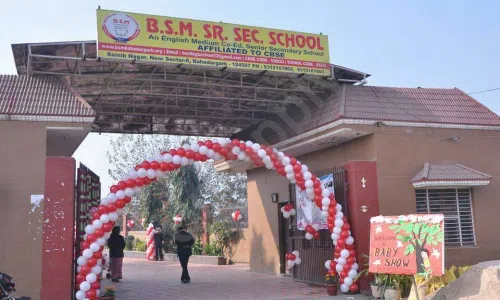 BSM Senior Secondary School, Sainik Nagar, Bahadurgarh School Infrastructure