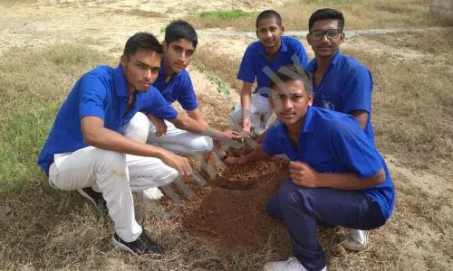 Bal Vikas Senior Secondary School, Mahavir Park, Bahadurgarh Gardening