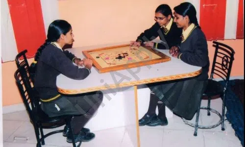 Modern Senior Secondary School, Sector 3, Bahadurgarh Indoor Sports