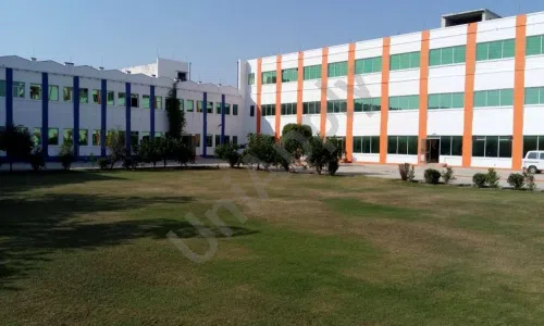 The New Brain Public School, Sector 2, Bahadurgarh School Building
