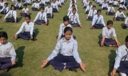 National Public School, Panipat 1