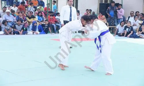 Indian Modern Senior Secondary School, Sonipat Karate