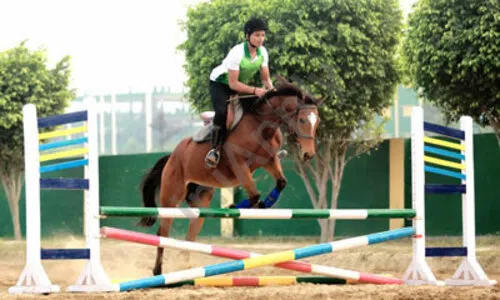 Rishikul Vidyapeeth School, Jeevan Vihar, Sonipat Horse Riding