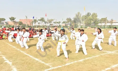 Rishikul World Academy, Shiv Colony, Sonipat Karate