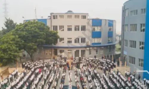 Orchids The International School