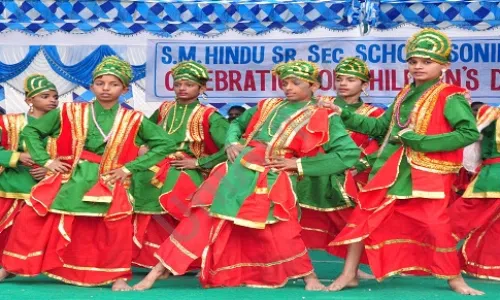 S M Hindu Senior Secondary School, Jain Bagh Colony, Sonipat Dance