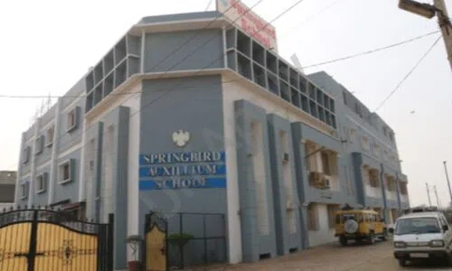 Springbird School, Sonipat School Building 1