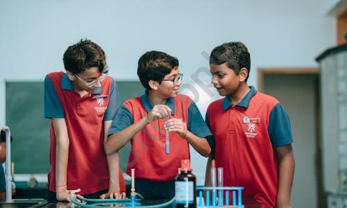 Vidyashilp School, Bagalur, Bangalore 7