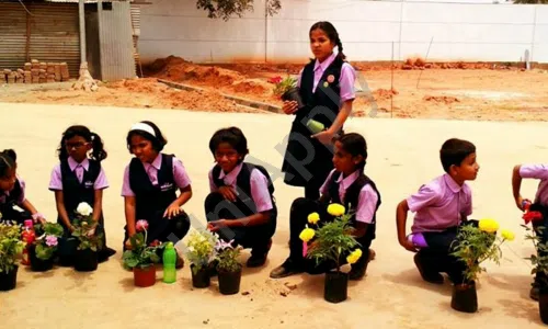 BS International School, Phase 1, Electronic City, Bangalore Gardening